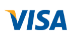 Visa icon